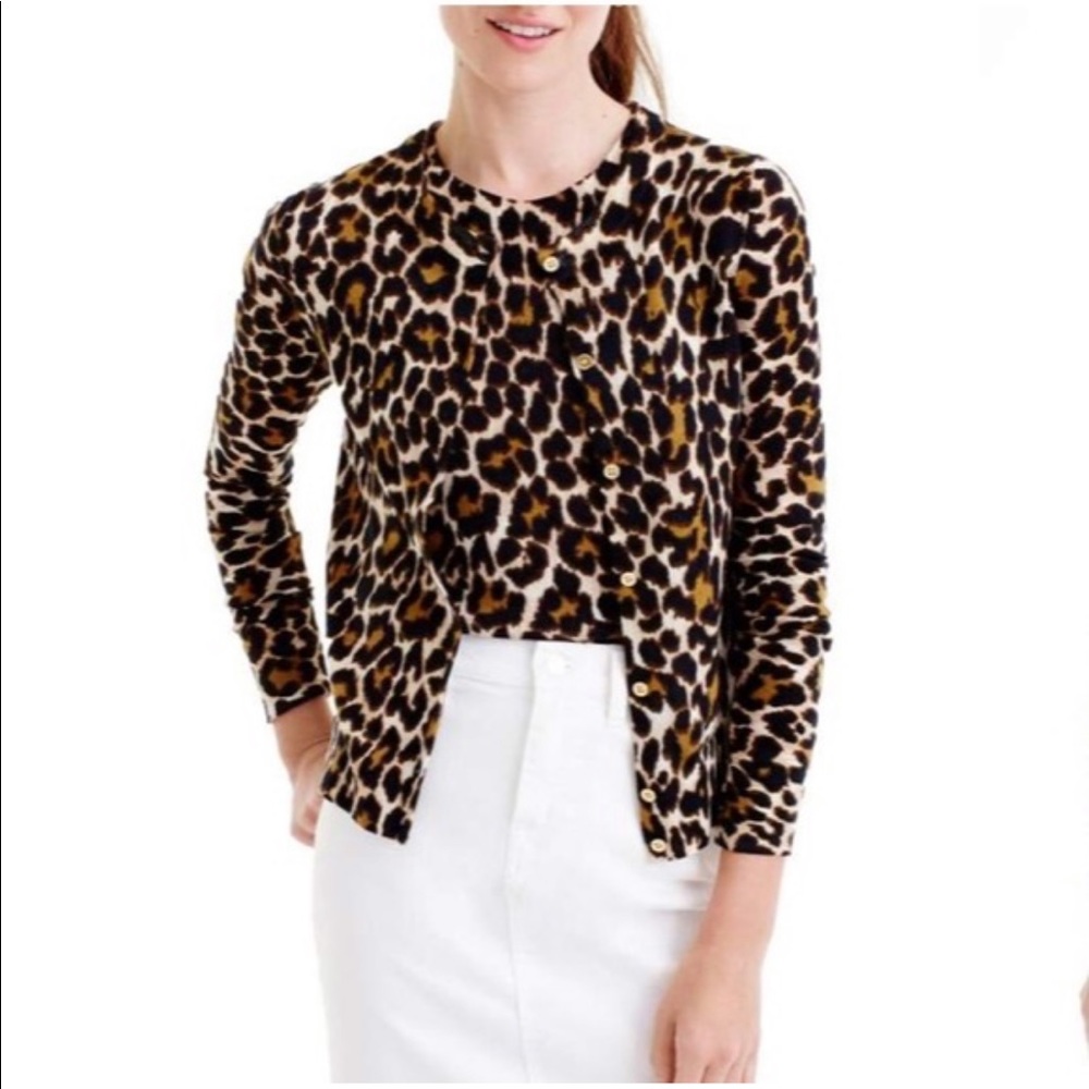 Cheetah Print Wool Sweater